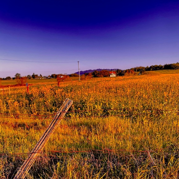 Meet your Posher, Kirstin - Picture 1 of 1